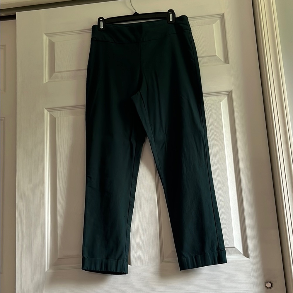 Tribal Women's Pull on Skinny Pants - Dark Green , Stitch Fix , size 10